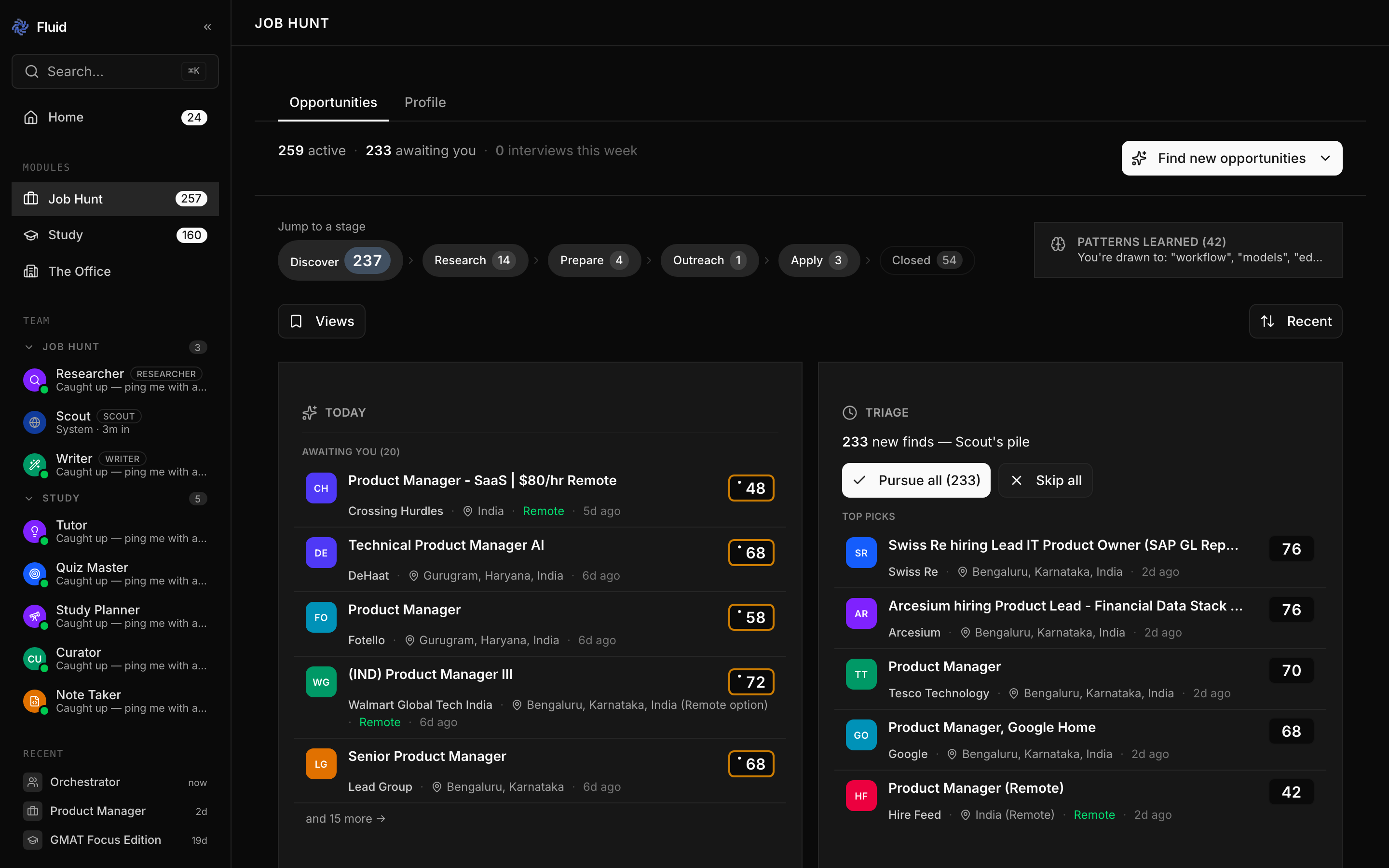 Fluid Job Hunt dashboard listing active opportunities and a triage pile